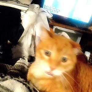 Meet your Posher, TH